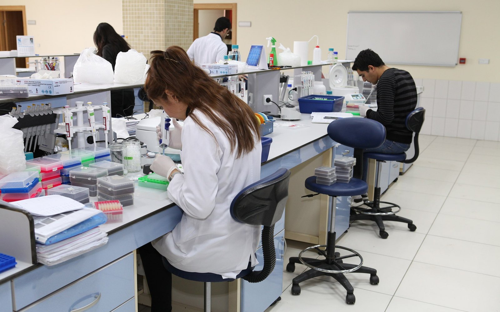 جامعة تشكوروفا çukurova university