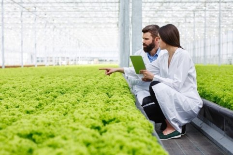 تخصص الهندسة الزراعية في تركيا